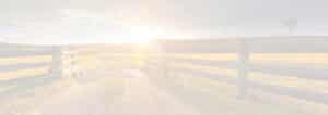 white sunset bg